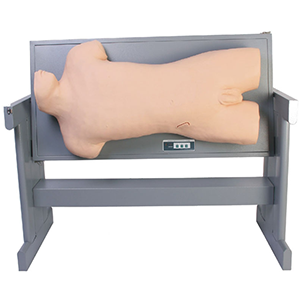 Abdomen Mobility Turbidity Percussion and Abdominal Cavity Puncture Training Manikin